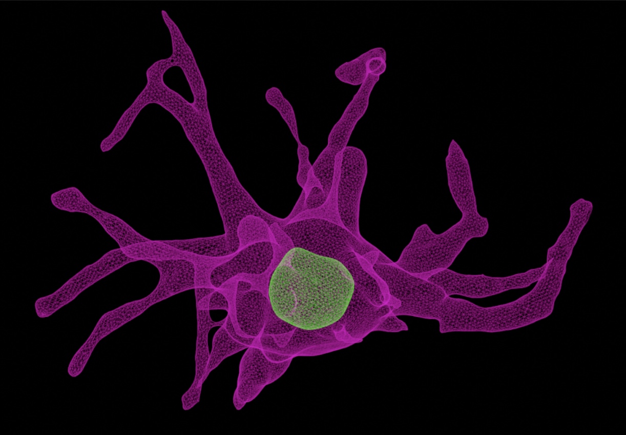 Sentinal4D Advances Cancer Research with Lightning AI, Achieving 2x Faster Development